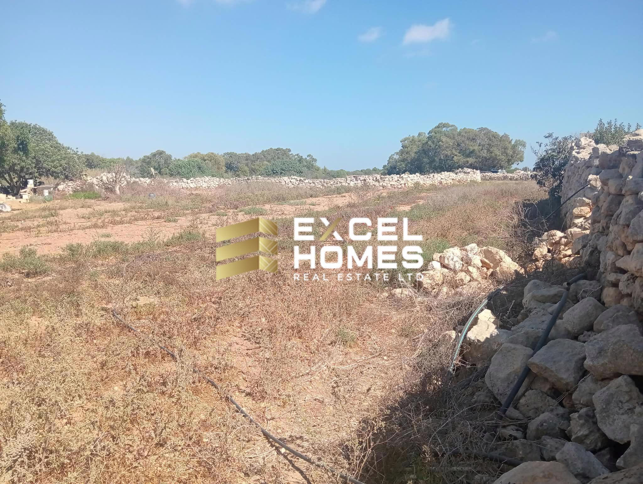 Agricultural Land in Safi, Malta – 69726