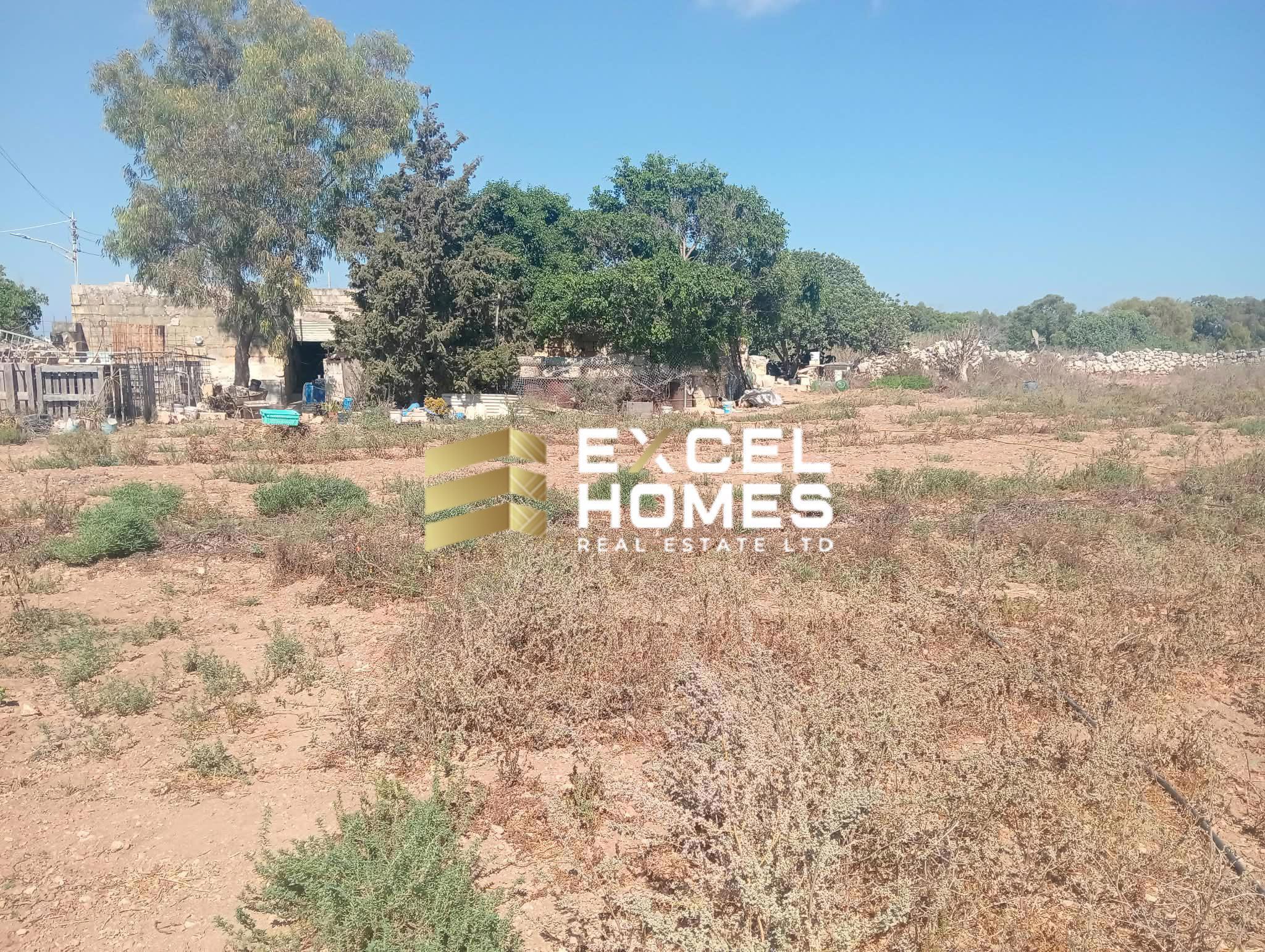 Agricultural Land in Safi, Malta – 69726