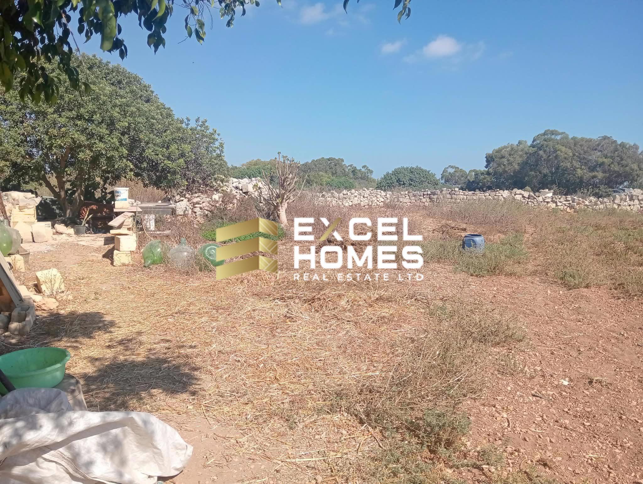 Agricultural Land in Safi, Malta – 69726