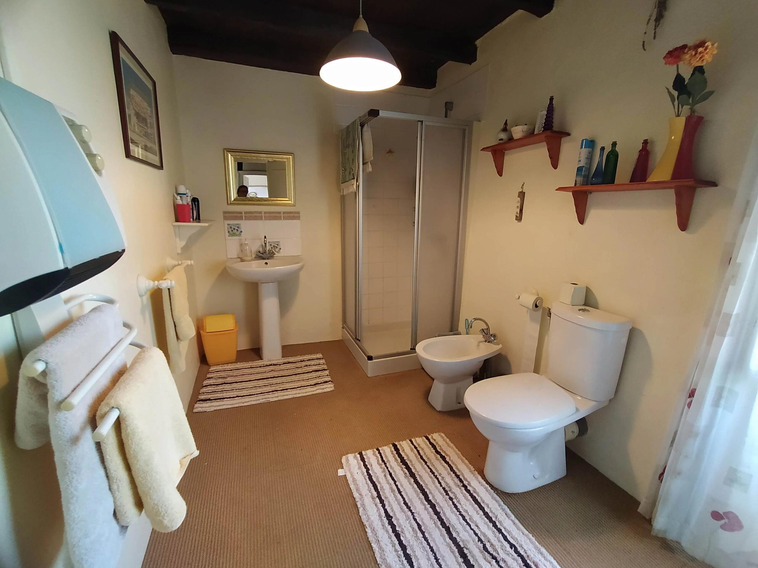 Village house with barn, Poitou-Charentes – France – BVI86372