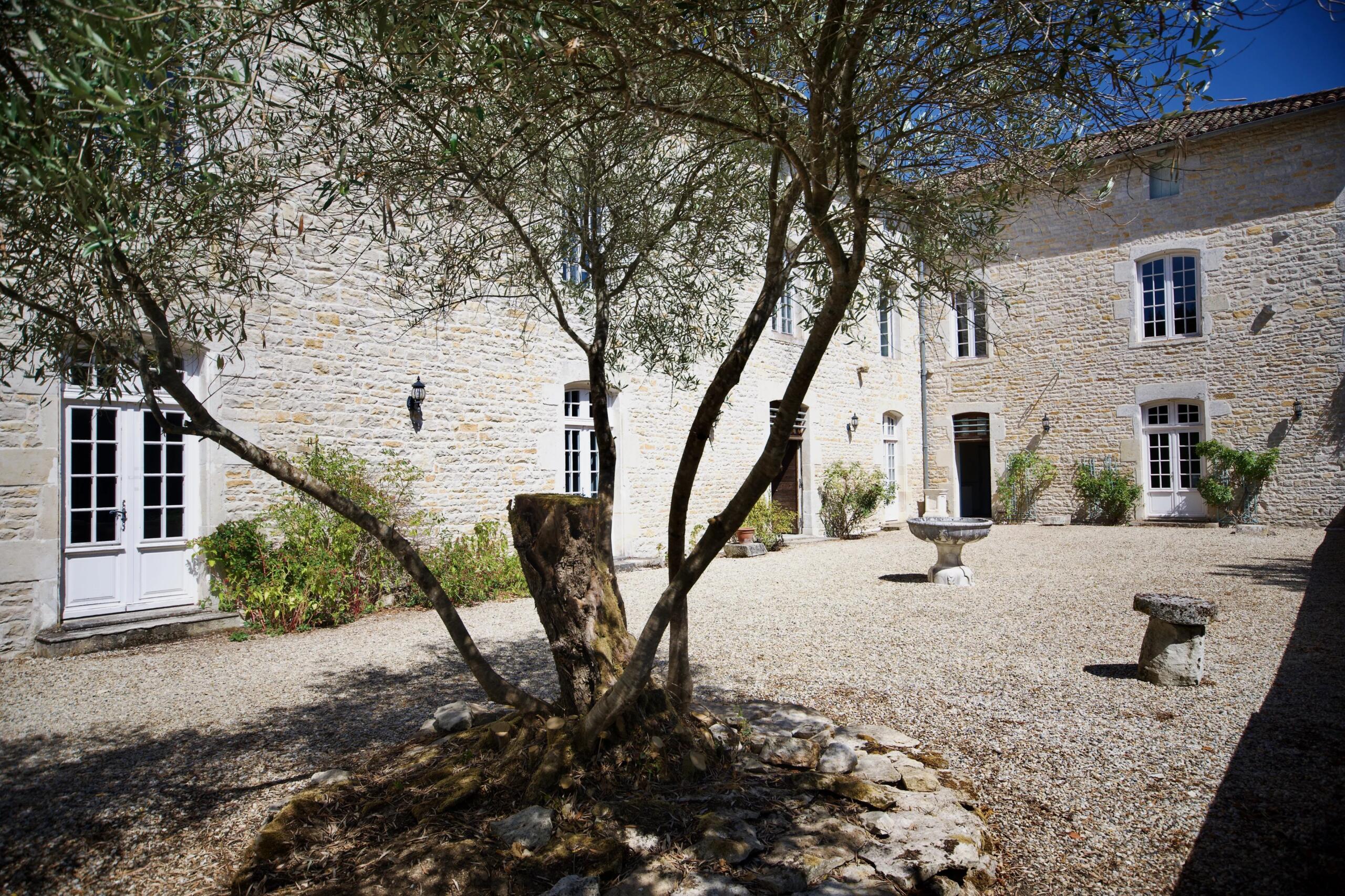 Exceptional Mansion with Outstanding Potential, Poitou-Charentes – France – BVI86785
