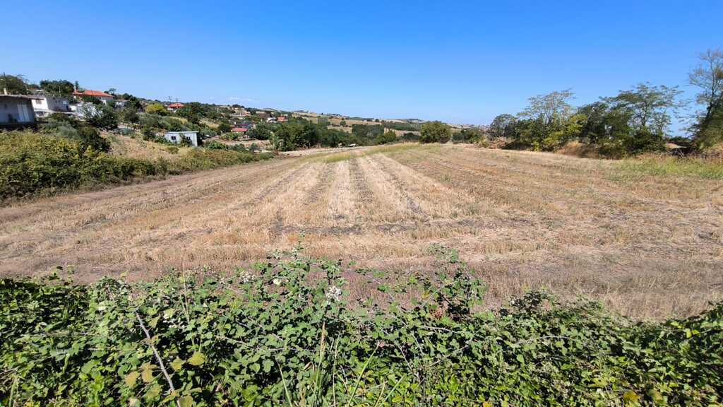 Land in Pidna, Pieria Prefecture, Greece – 66889