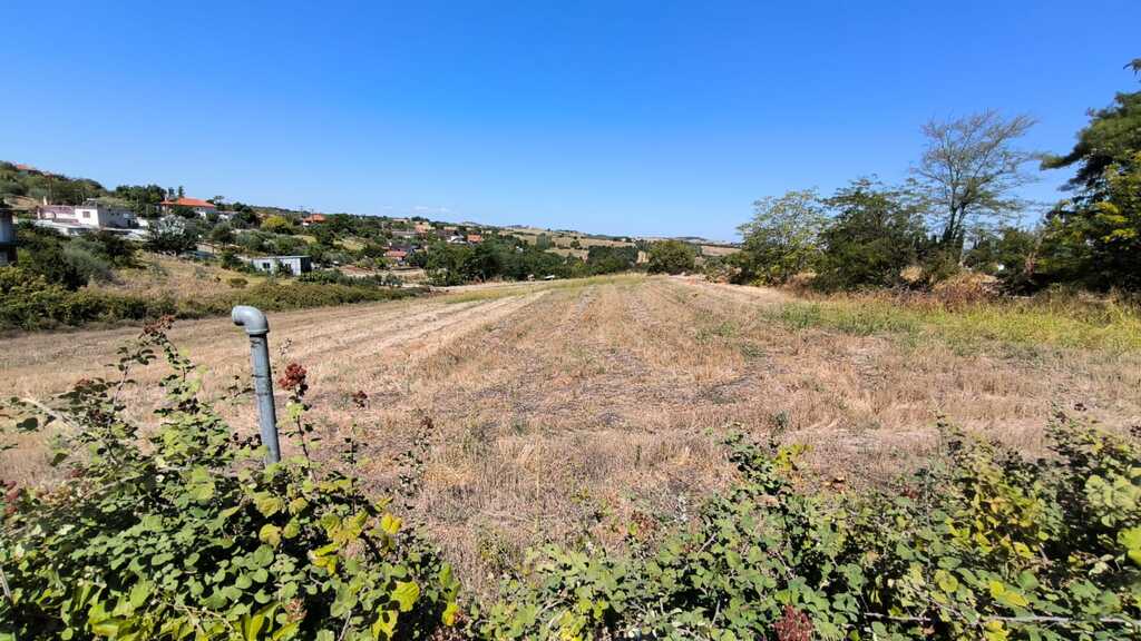 Land in Pidna, Pieria Prefecture, Greece – 66889