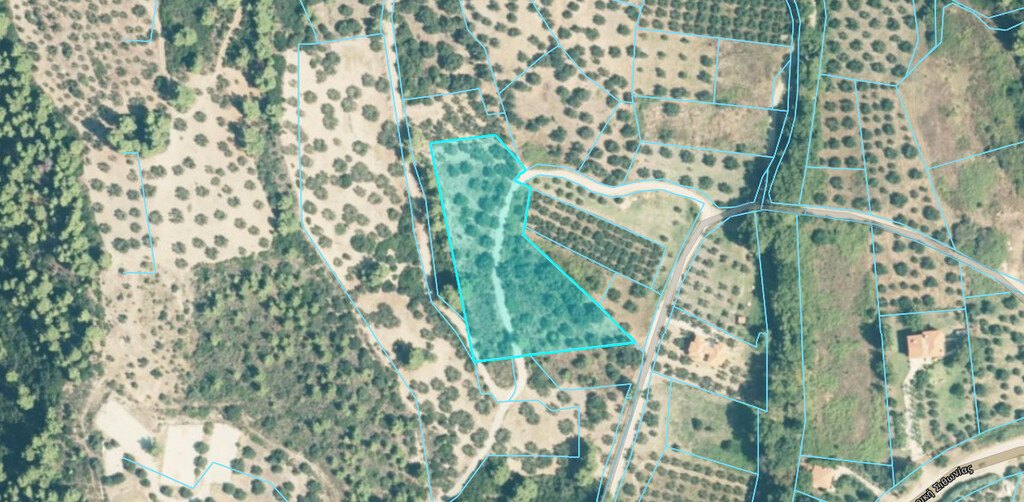 Land in Sithonia, Chalkidiki, Greece – 66872