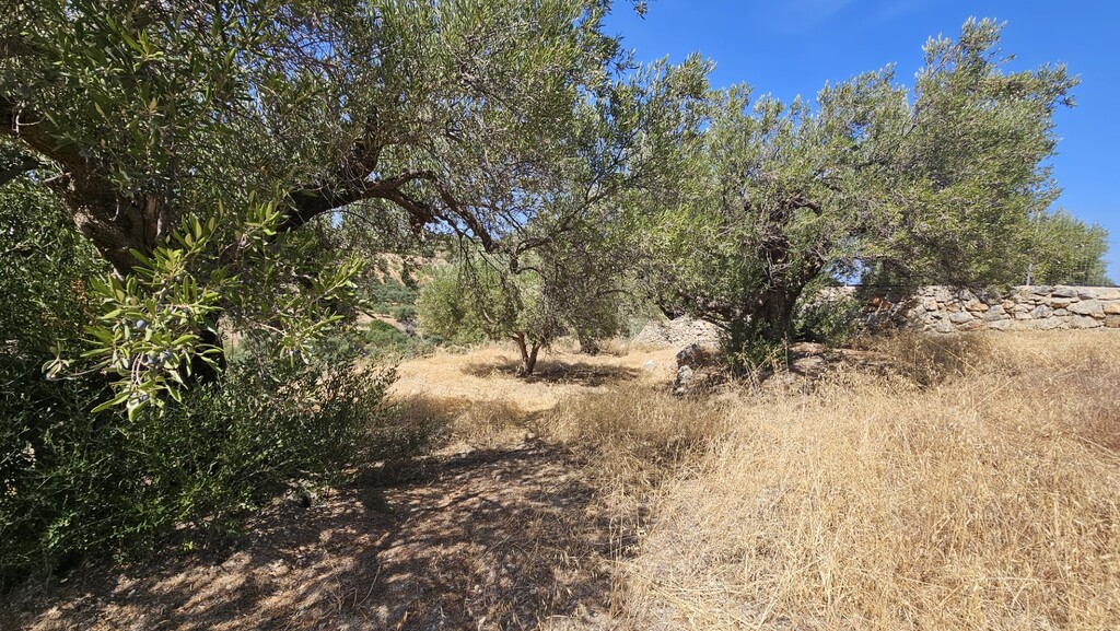 Land in Gouves, Heraklion Prefecture, Greece – 66866