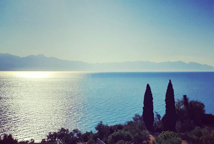 Land in Pilos, Messinia, Greece – 48817