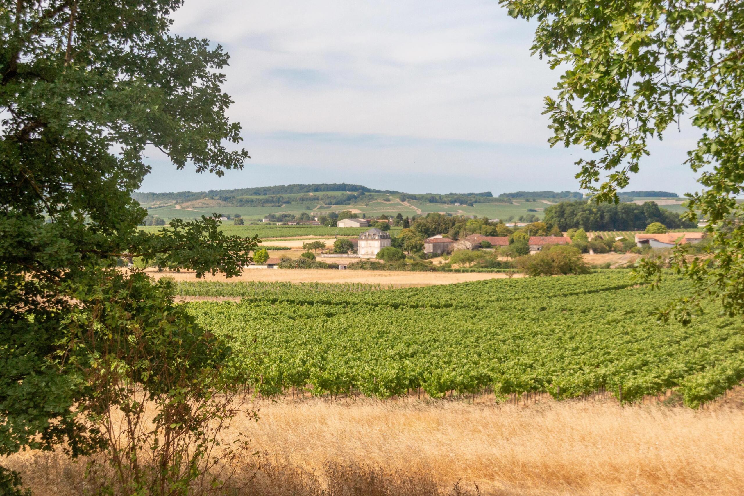 Vineyard View Retreat Near Jarnac, Nouvelle-Aquitaine – France – BVI86308