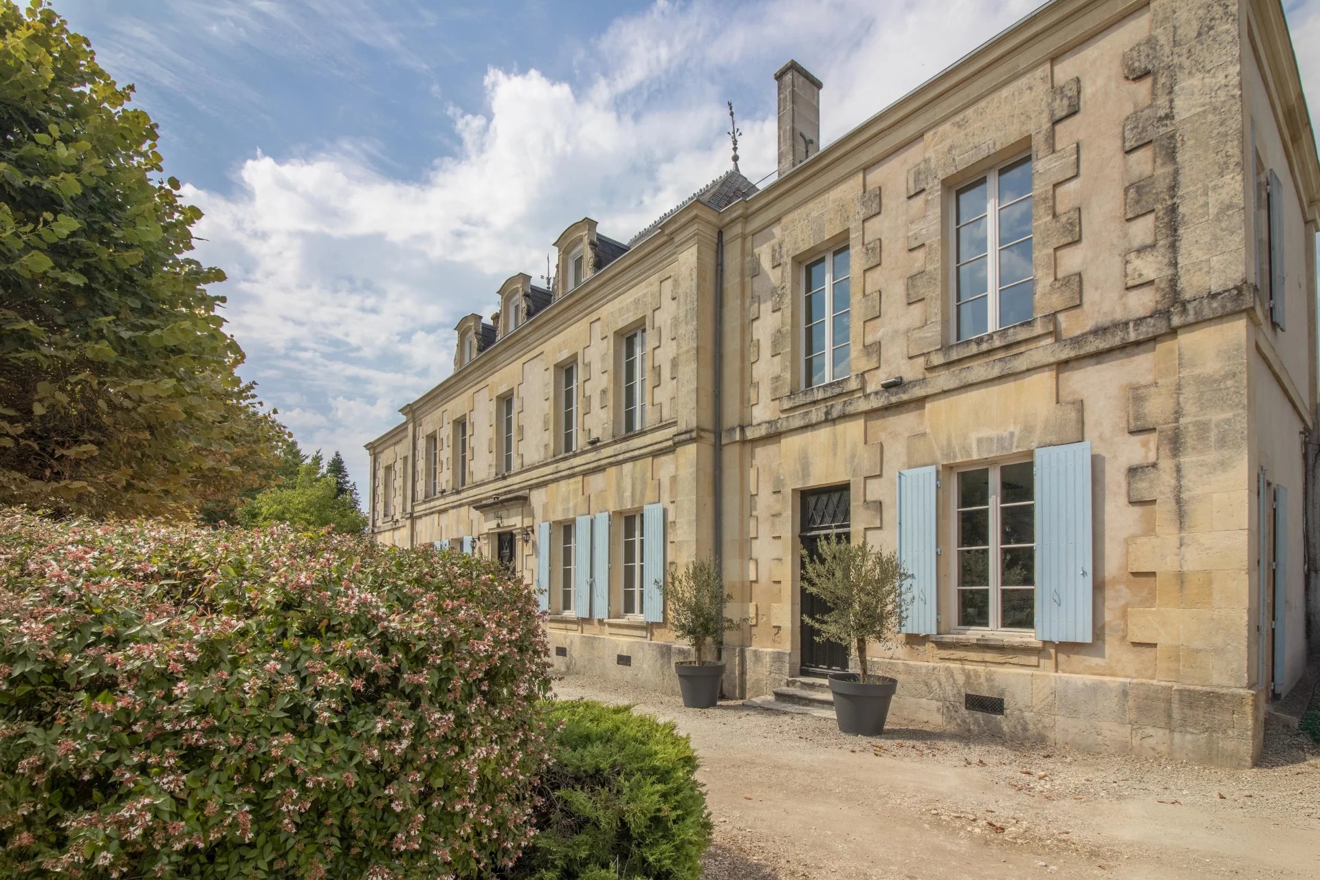 Elegant furnished Château with Guest Wing, Pool and Gardens Near St Jean d’Angély, Nouvelle-Aquitaine – France – BVI82696