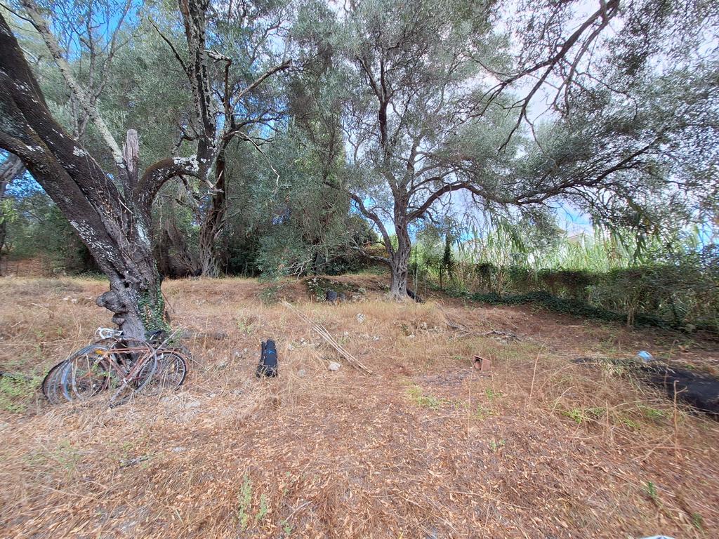 Land in Corfu, Corfu Prefecture, Greece – 66916