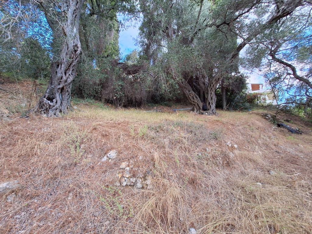 Land in Corfu, Corfu Prefecture, Greece – 66916