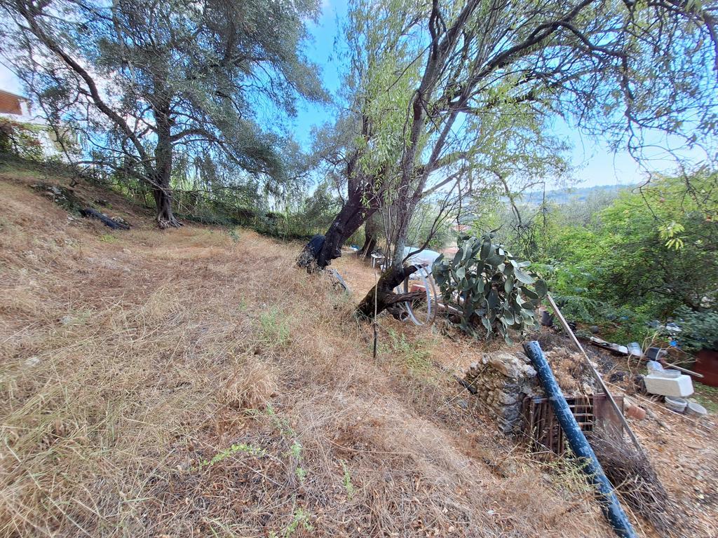 Land in Corfu, Corfu Prefecture, Greece – 66916