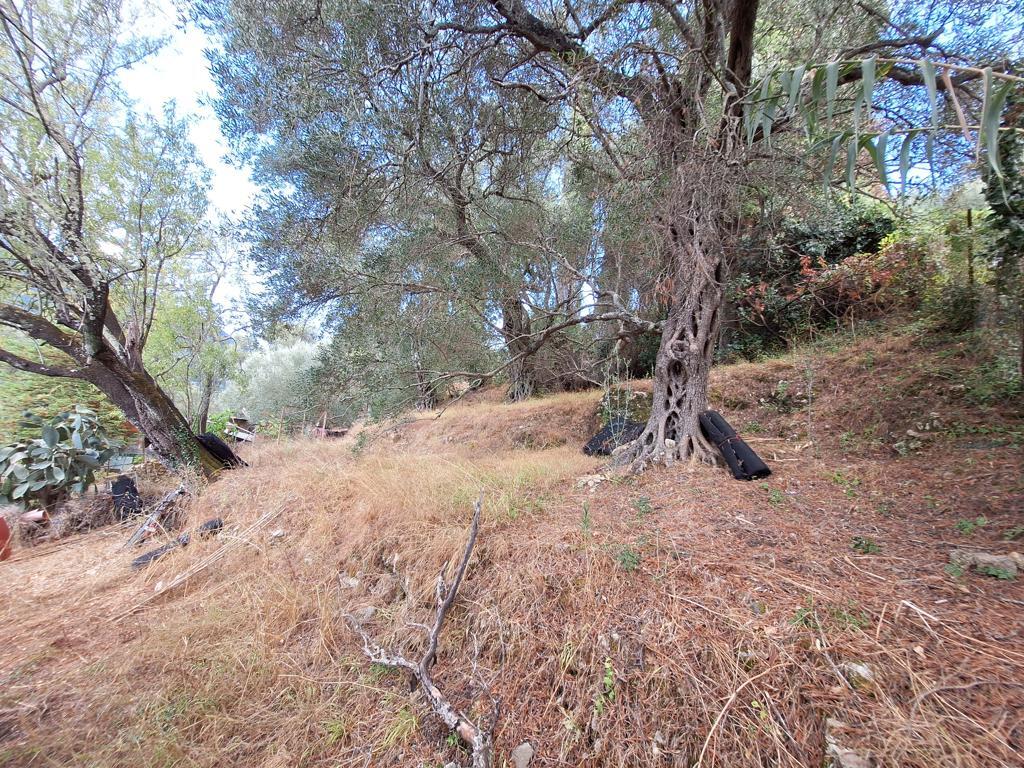 Land in Corfu, Corfu Prefecture, Greece – 66916