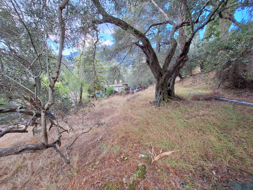 Land in Corfu, Corfu Prefecture, Greece – 66916