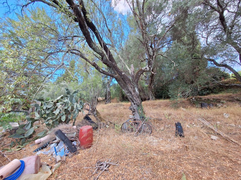 Land in Corfu, Corfu Prefecture, Greece – 66916