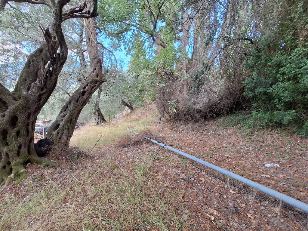 Land in Corfu, Corfu Prefecture, Greece – 66916