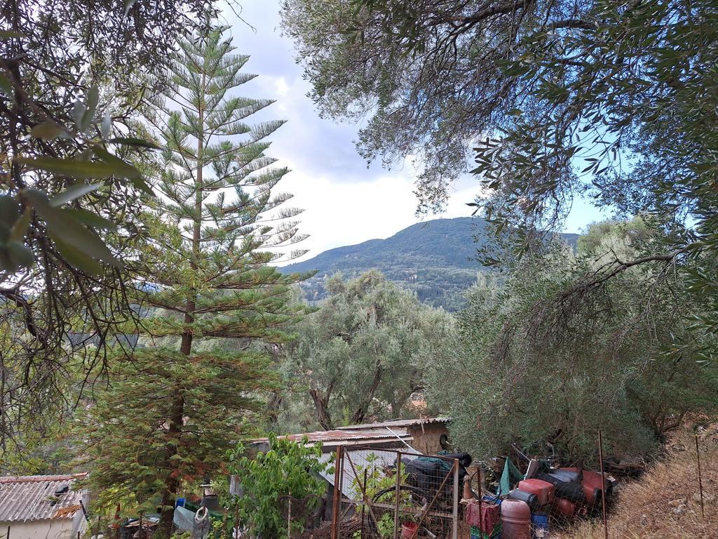 Land in Corfu, Corfu Prefecture, Greece – 66916