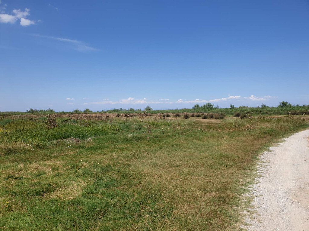 Land in Katerini, Pieria Prefecture, Greece – 48655