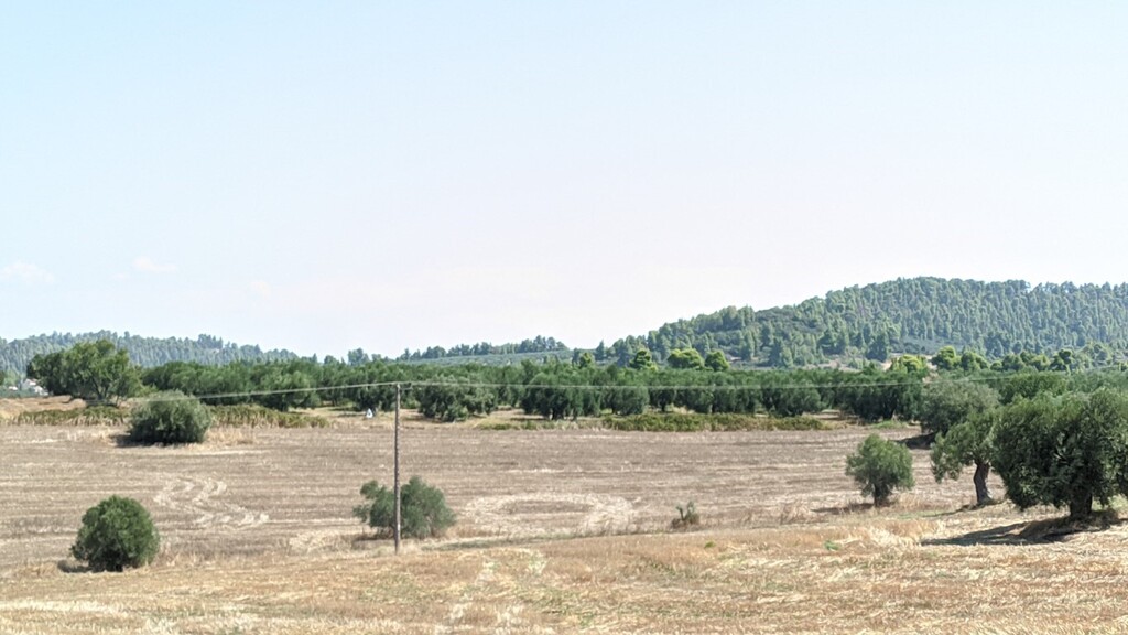 Land in Kassandra, Chalkidiki, Greece – 48624