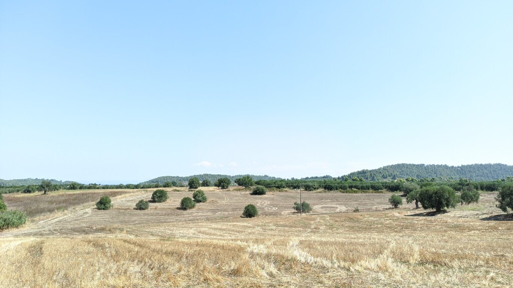 Land in Kassandra, Chalkidiki, Greece – 48621