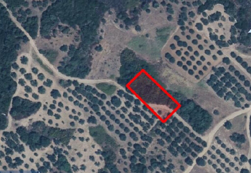 Land in Aristotle, Chalkidiki, Greece – 48606