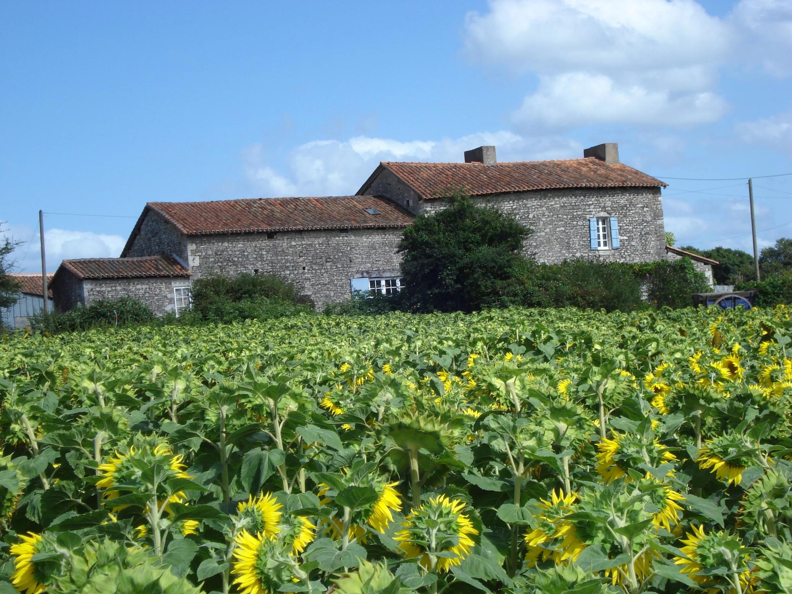 Charming Stone Property with Tower, Character and Development Potential Near Champagne-Mouton, Nouvelle-Aquitaine – France – BVI86162