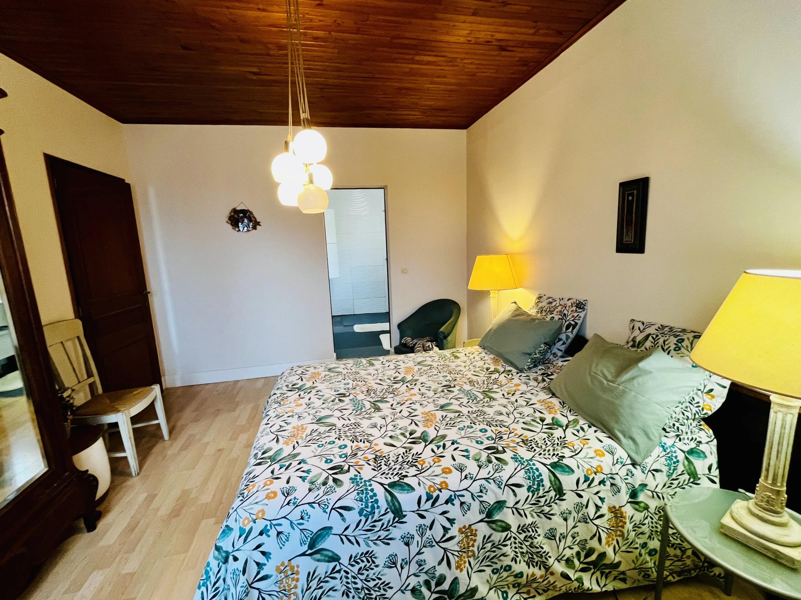 Spacious home with guest accommodation potential, mature garden and extensive outbuildings, Nouvelle-Aquitaine – France – BVI87108