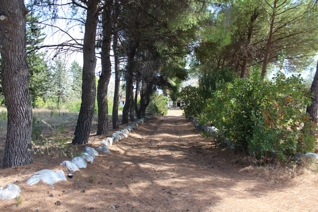Land in Litochoro, Pieria Prefecture, Greece – 67011
