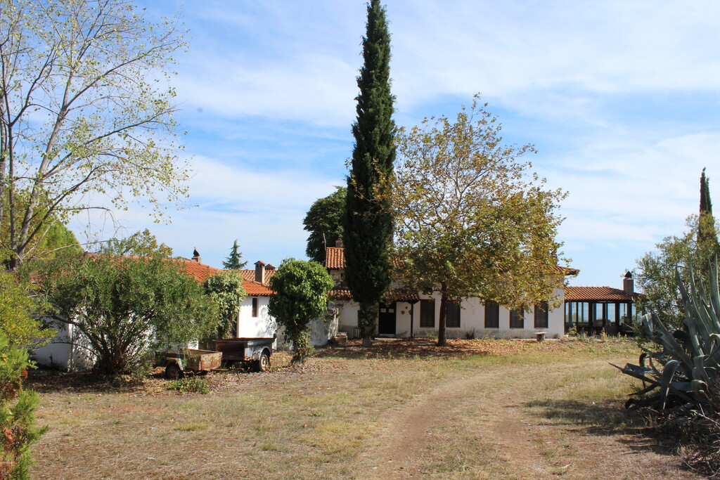 Land in Litochoro, Pieria Prefecture, Greece – 67011