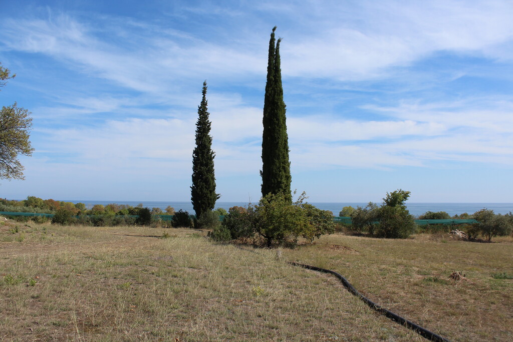 Land in Litochoro, Pieria Prefecture, Greece – 67011