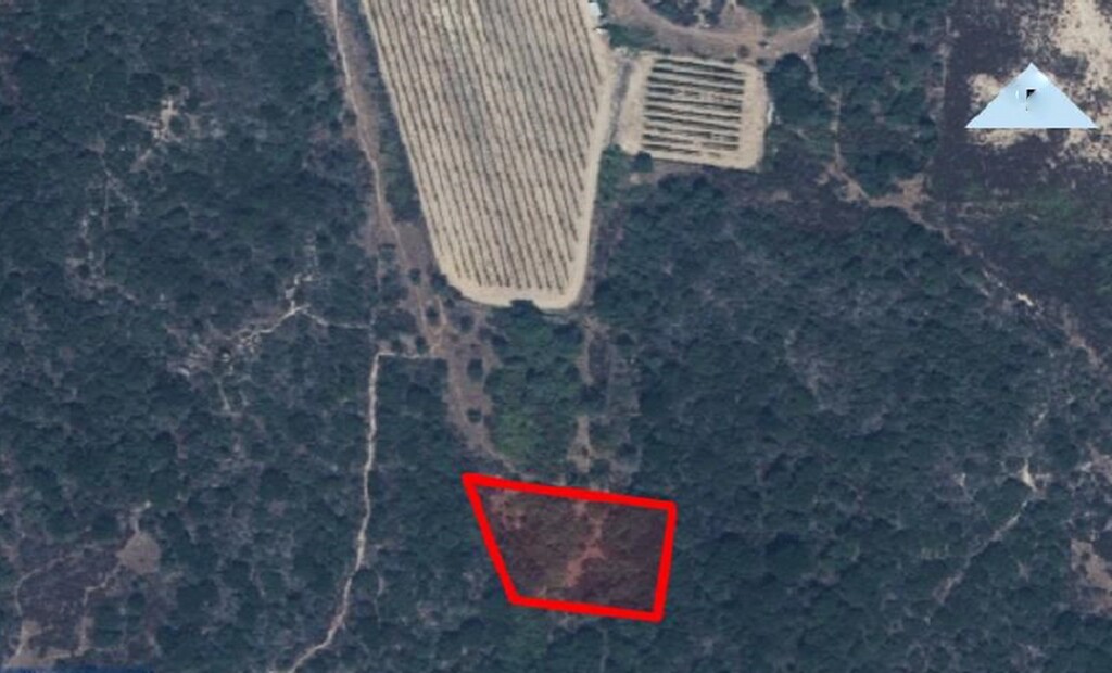 Land in Aristotle, Chalkidiki, Greece – 48605