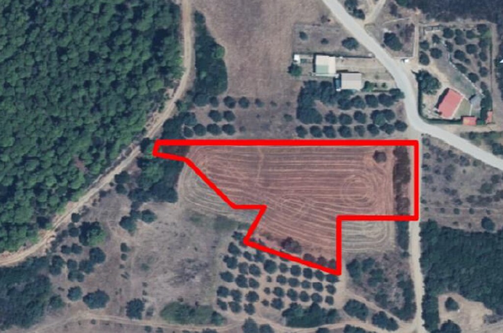 Land in Aristotle, Chalkidiki, Greece – 48602