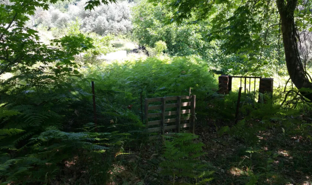 Land in Thasos, Kavala Prefecture, Greece – 48510