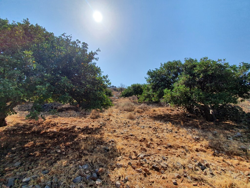 Land in Agios Nikolaos, Lasithi Prefecture, Greece – 48428