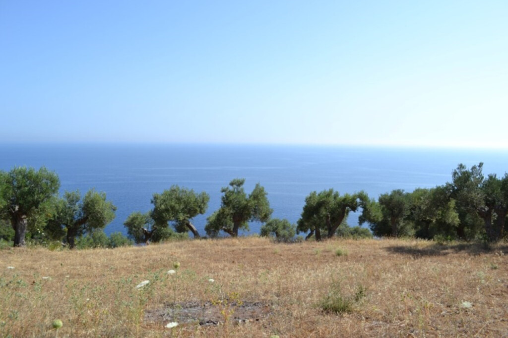 Land in Kassandra, Chalkidiki, Greece – 48420