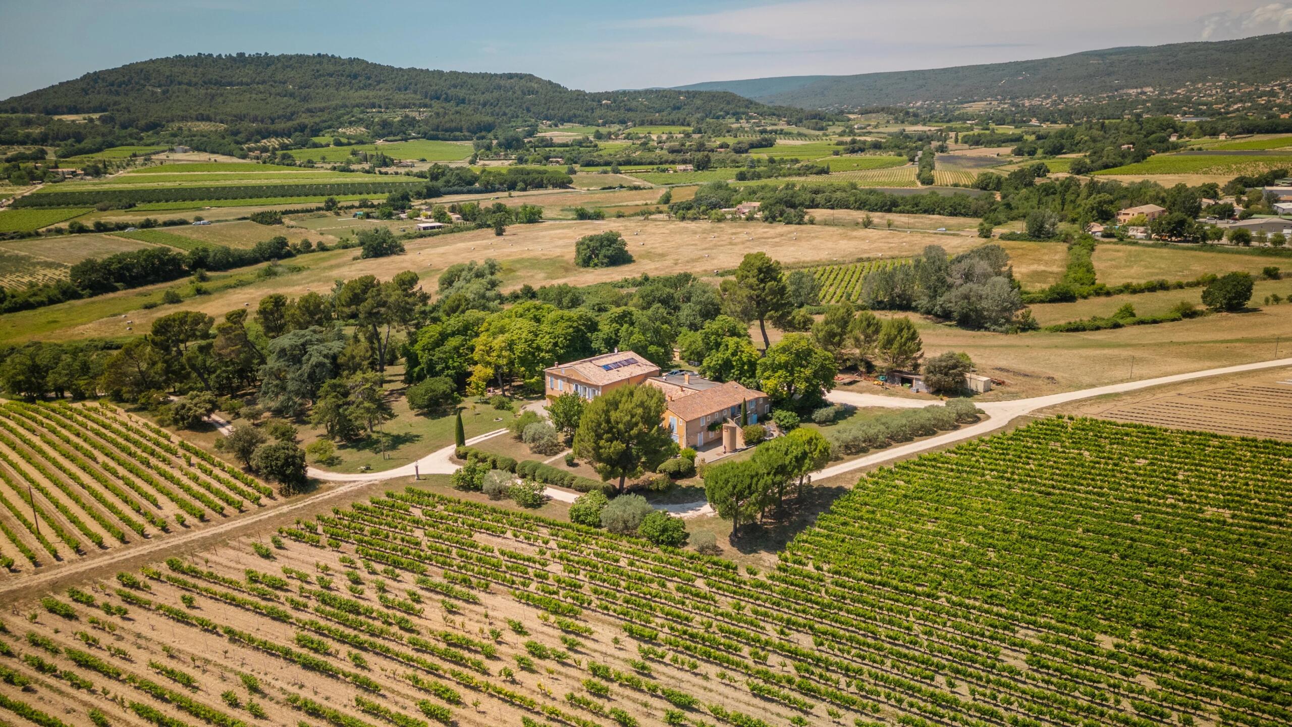 18th-Century Vineyard in the Luberon with guest accommodations – An Exceptional Property in Provence, Provence-Alpes-Côte d’Azur – France – BVI79855
