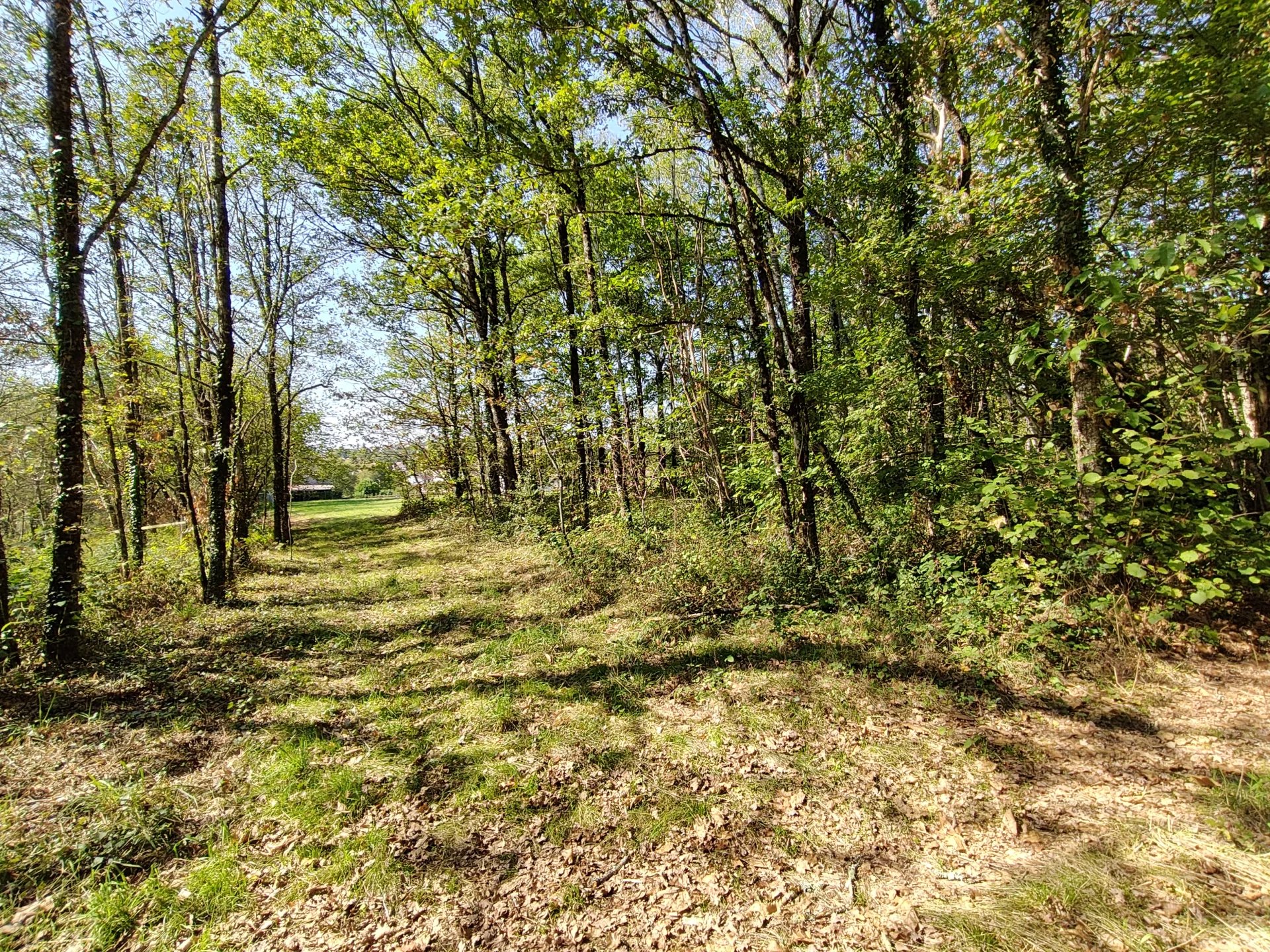 Building plot with woodland plot, Nouvelle-Aquitaine – France – BVI81648