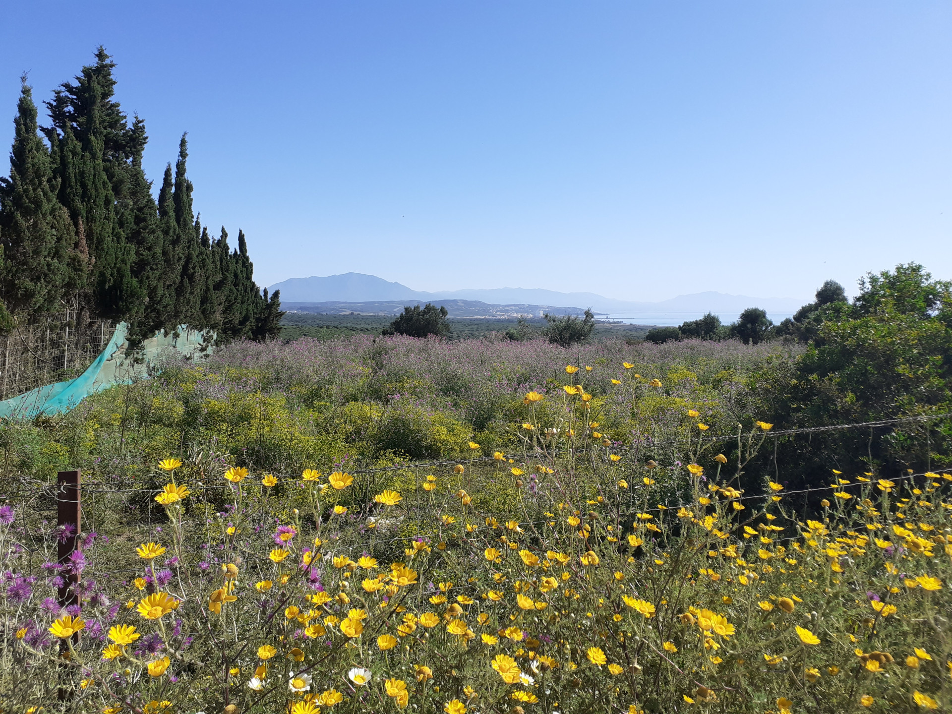 4 bedroom Plot in Alcaidesa, Cadiz, Spain – 428-00422P