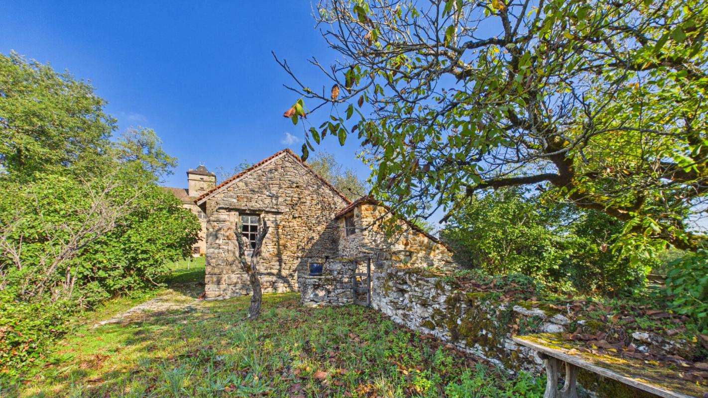 6 bedroom chateau in Promilhanes, Lot, France