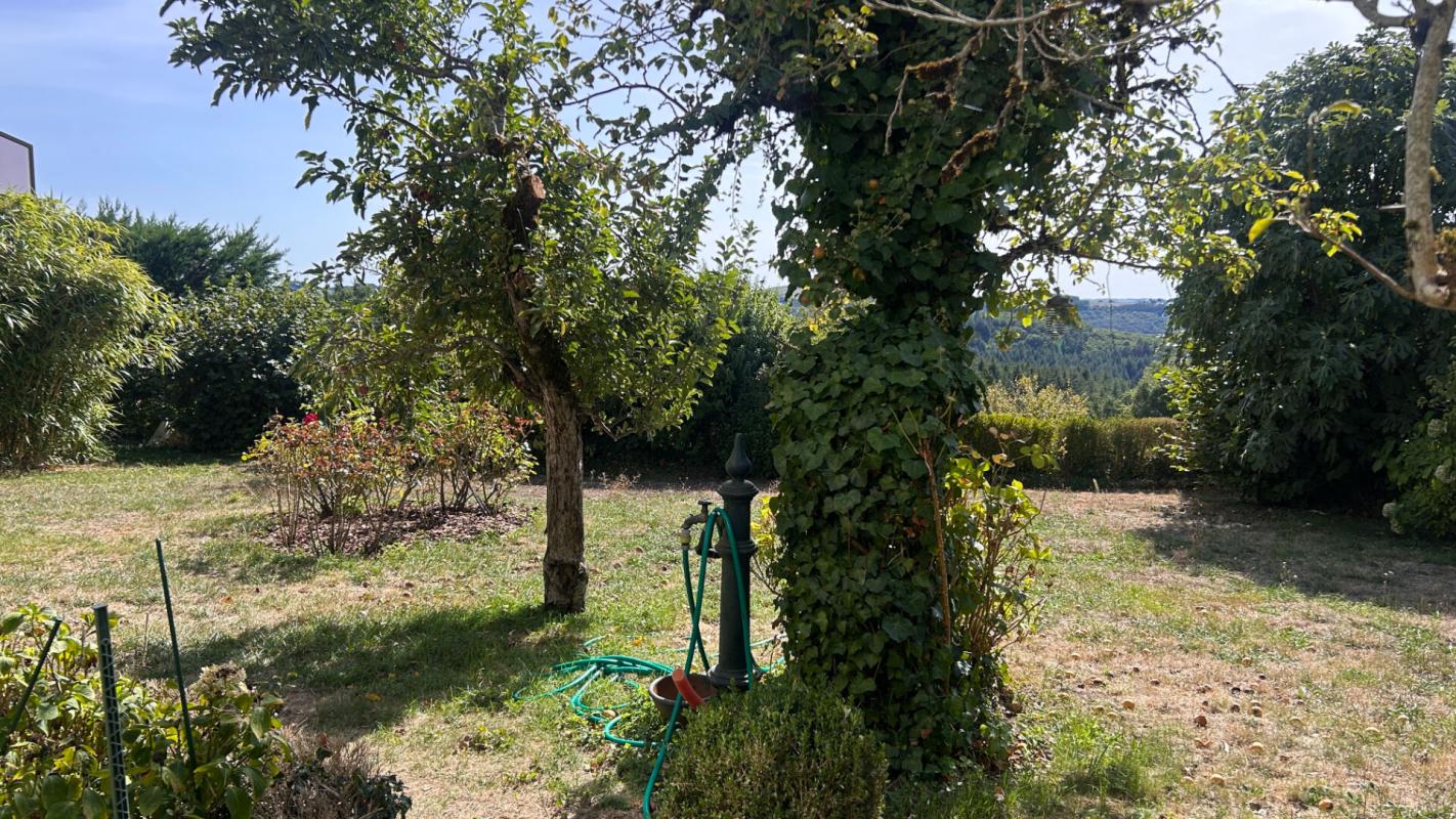 5 bedroom maison bourgeoise in Saint Amans Des Cots, Aveyron, France