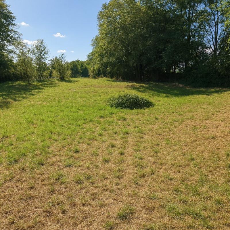 terrain a batir in Alloue, Charente, France