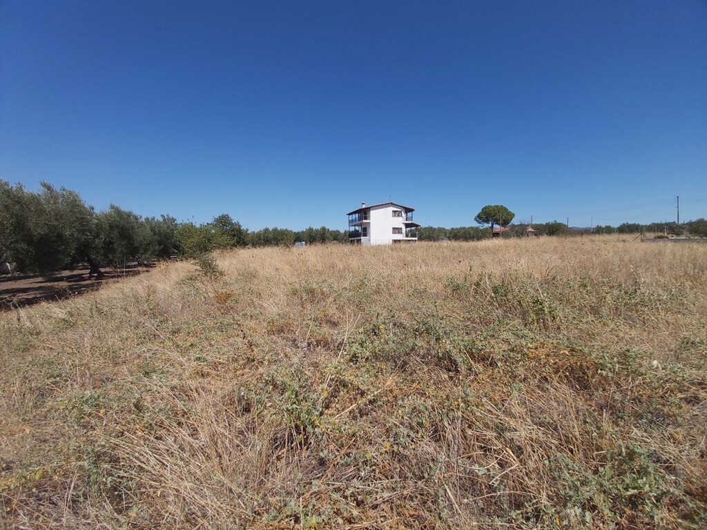 Land in Poligiros, Chalkidiki, Greece – 48411
