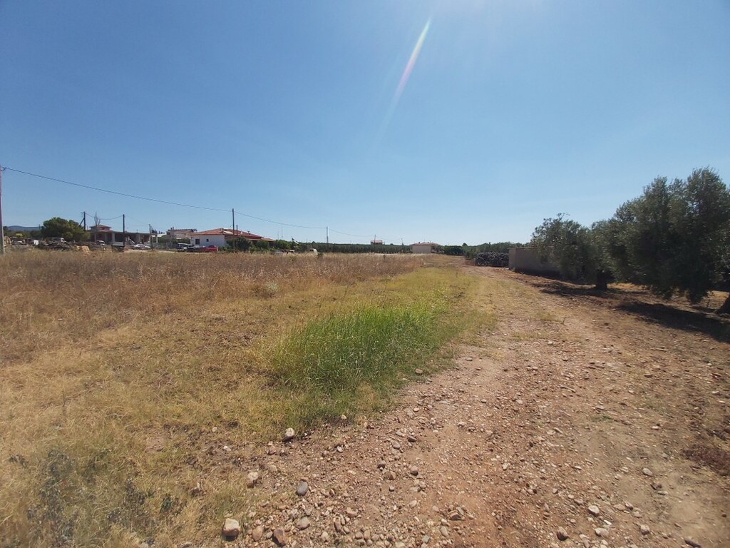 Land in Poligiros, Chalkidiki, Greece – 48411