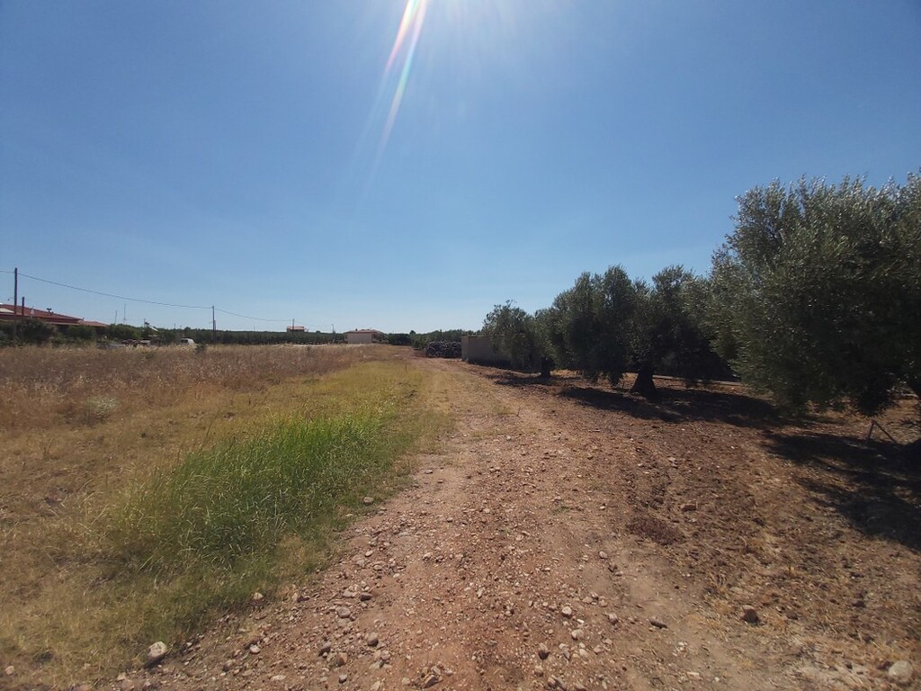 Land in Poligiros, Chalkidiki, Greece – 48411