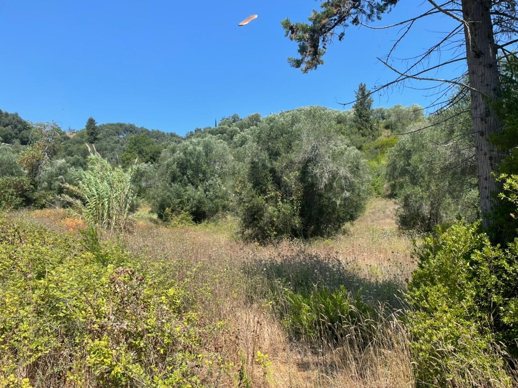 Land in Corfu, Corfu Prefecture, Greece – 48390