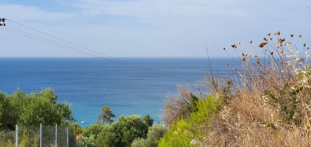 Land in Kassandra, Chalkidiki, Greece – 48388
