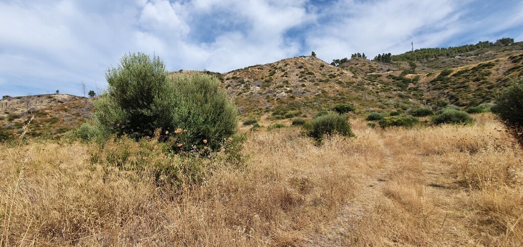 Land in Kassandra, Chalkidiki, Greece – 48388