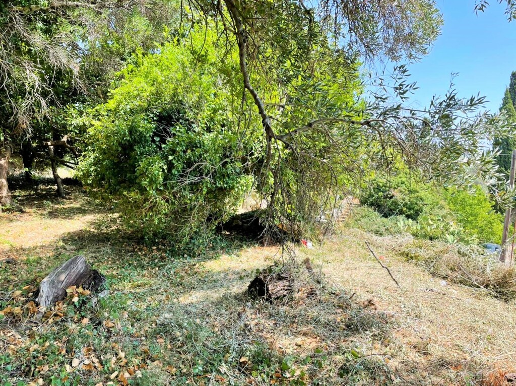 Land in Corfu, Corfu Prefecture, Greece – 48350