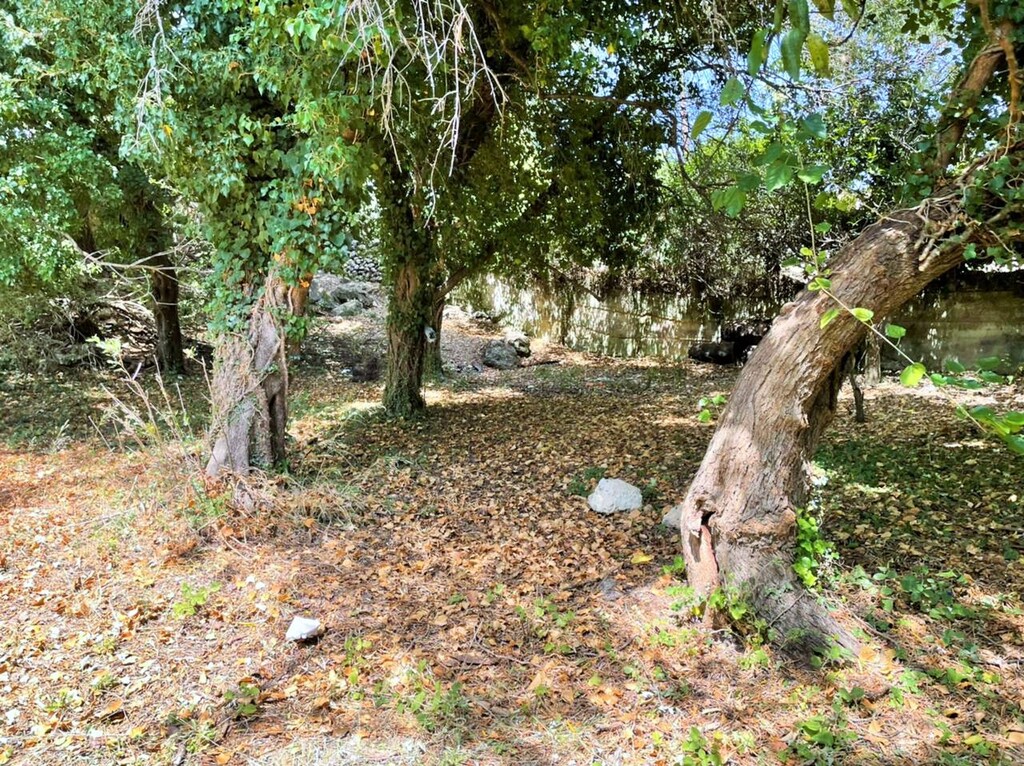 Land in Corfu, Corfu Prefecture, Greece – 48350