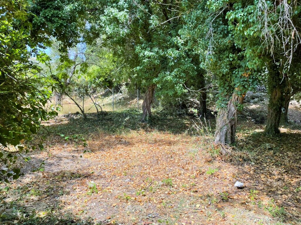 Land in Corfu, Corfu Prefecture, Greece – 48350