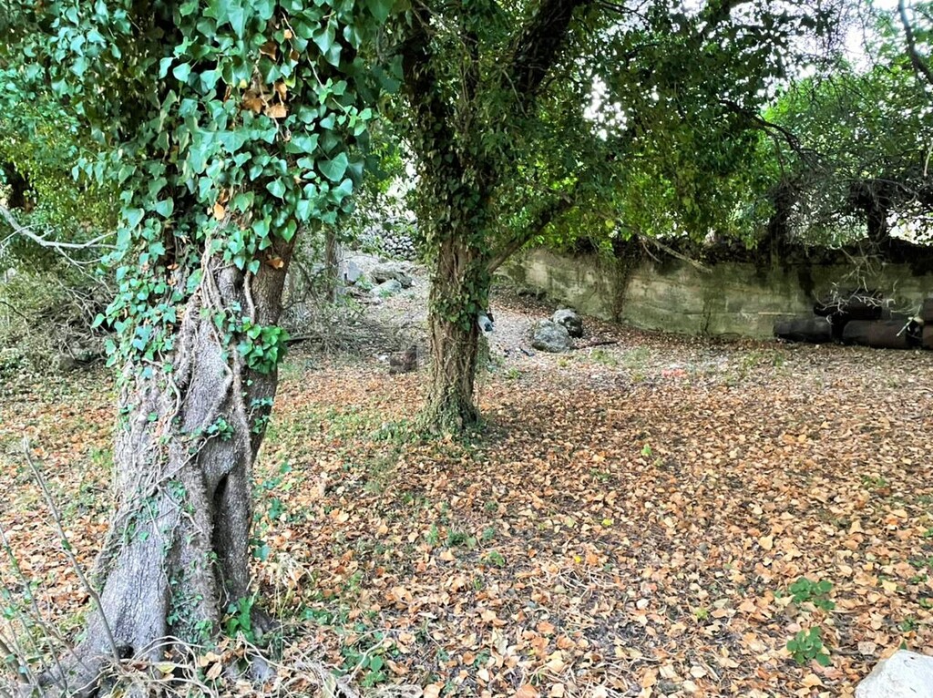 Land in Corfu, Corfu Prefecture, Greece – 48350
